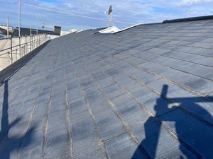 F8944334-CF40-470E-93AD-BD9D413D01CC_コピー