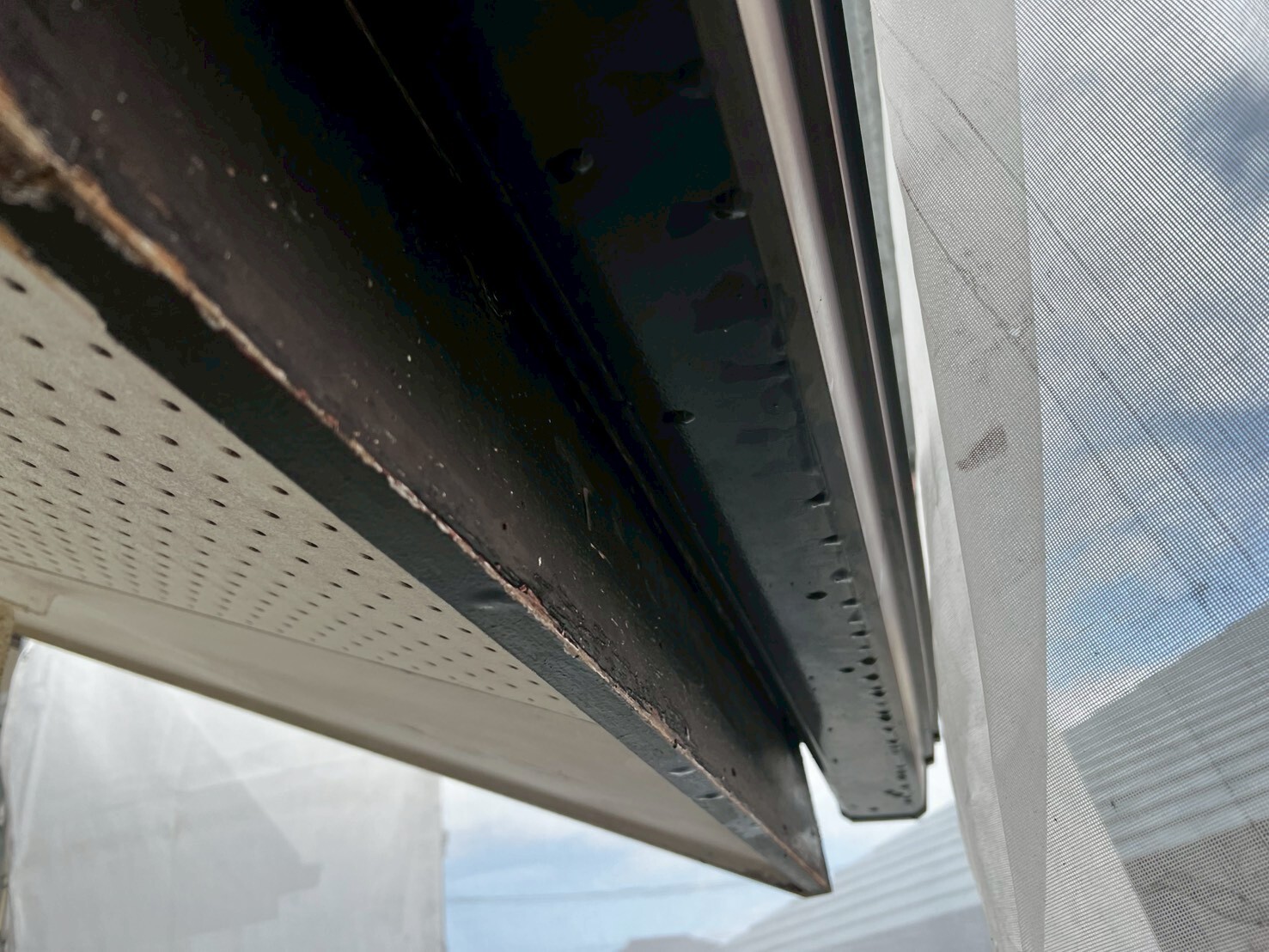 LINE_ALBUM_付帯部_260415_4