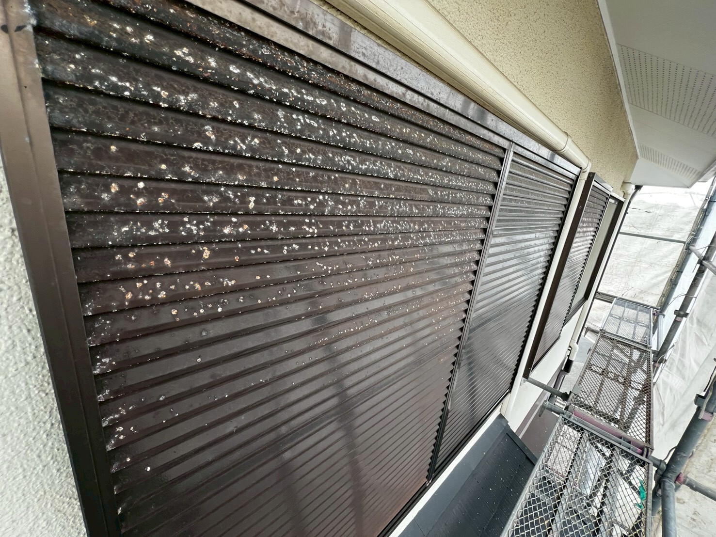 LINE_ALBUM_付帯部_260415_6